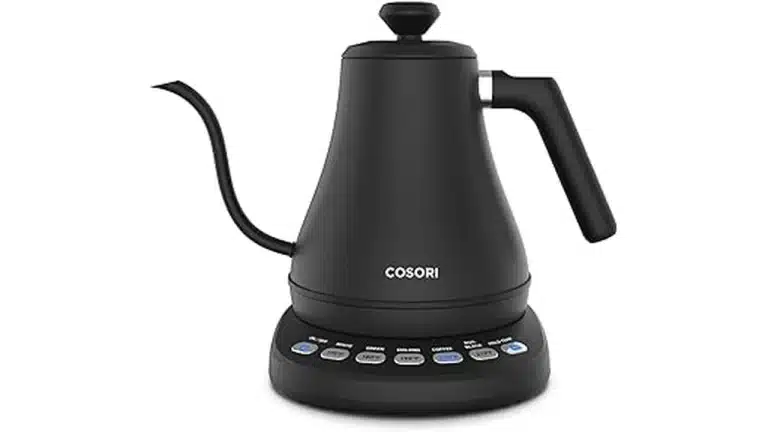 Best 6 Best Electric Tea Kettles From $50 to $100 for Better