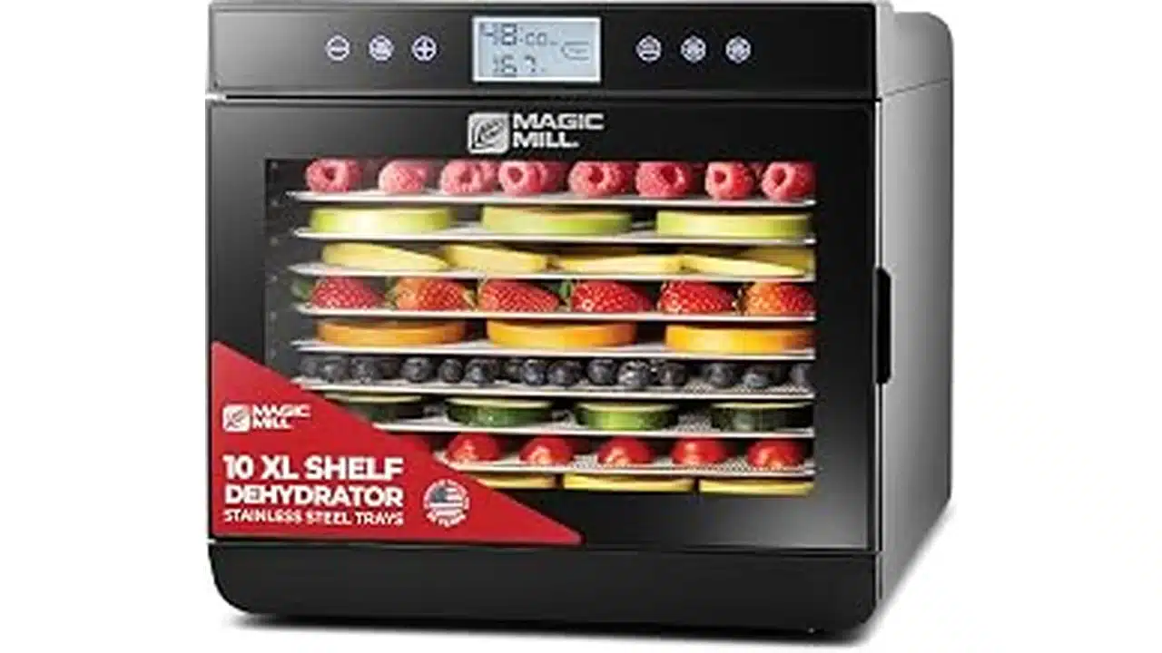 Best 6 Best Food Dehydrators for Fruit, Jerky and Healthy Sn
