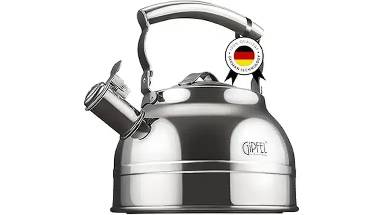 Best Selling 6 Best Stainless Steel Tea Kettles for Long-ter