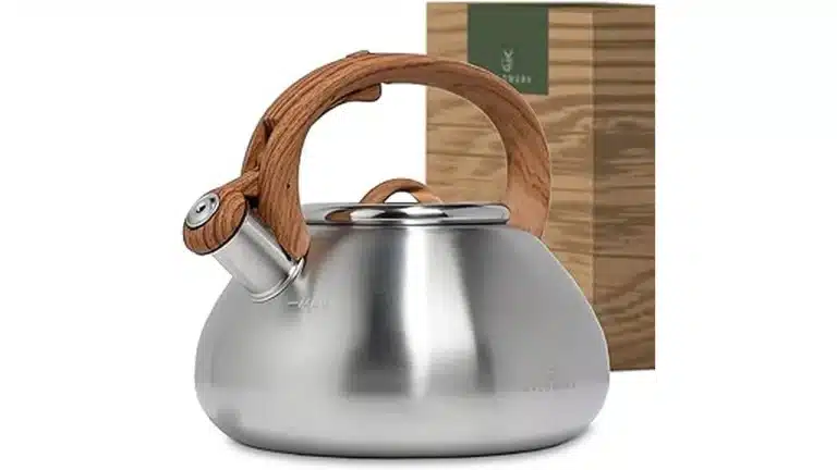 Most Popular 6 Best Whistling Stovetop Tea Kettles for Tradi